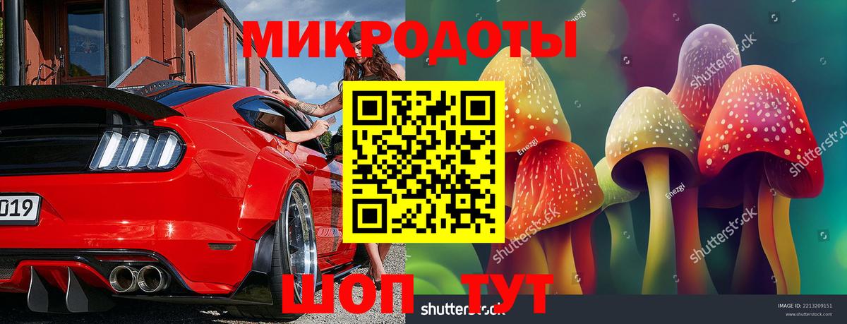 купить наркотик  Вход с VPN  Галлюциногенные грибы мухоморы  Нижнеудинск  Галлюциногенные грибы Psilocybe 